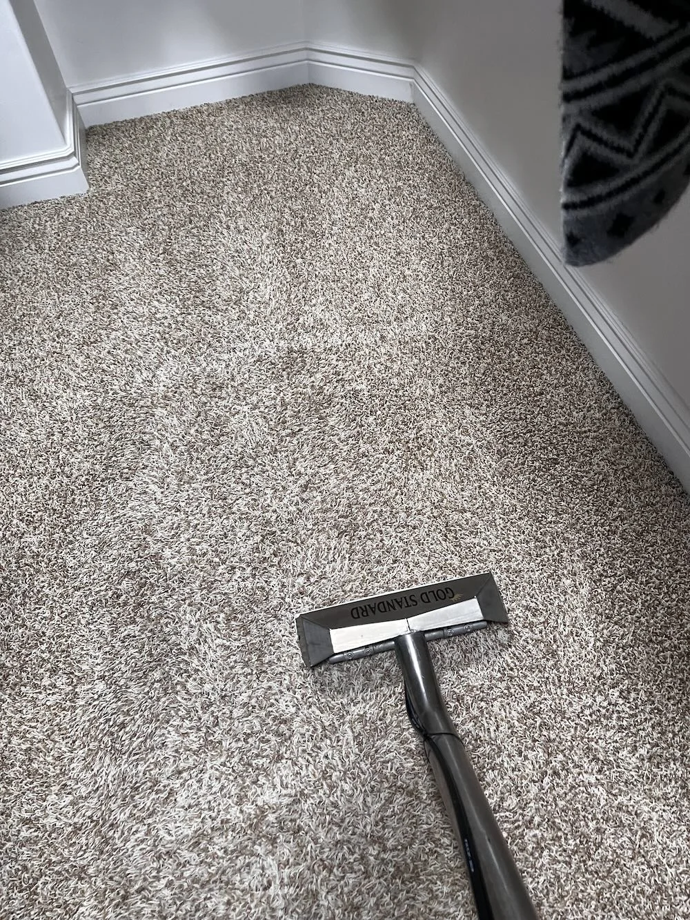 Wand tool deep-cleaning a living room carpet during Boise service