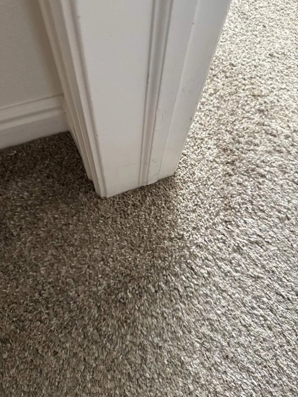 Carpet edge cleaned and restored near white trim baseboard in Boise home