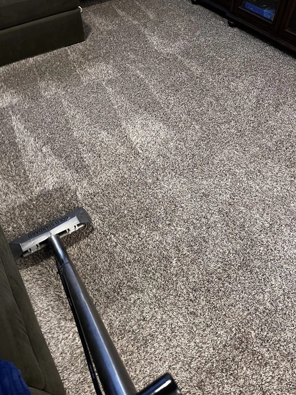 Professional carpet cleaning in Boise by Gold Standard using advanced wand tool