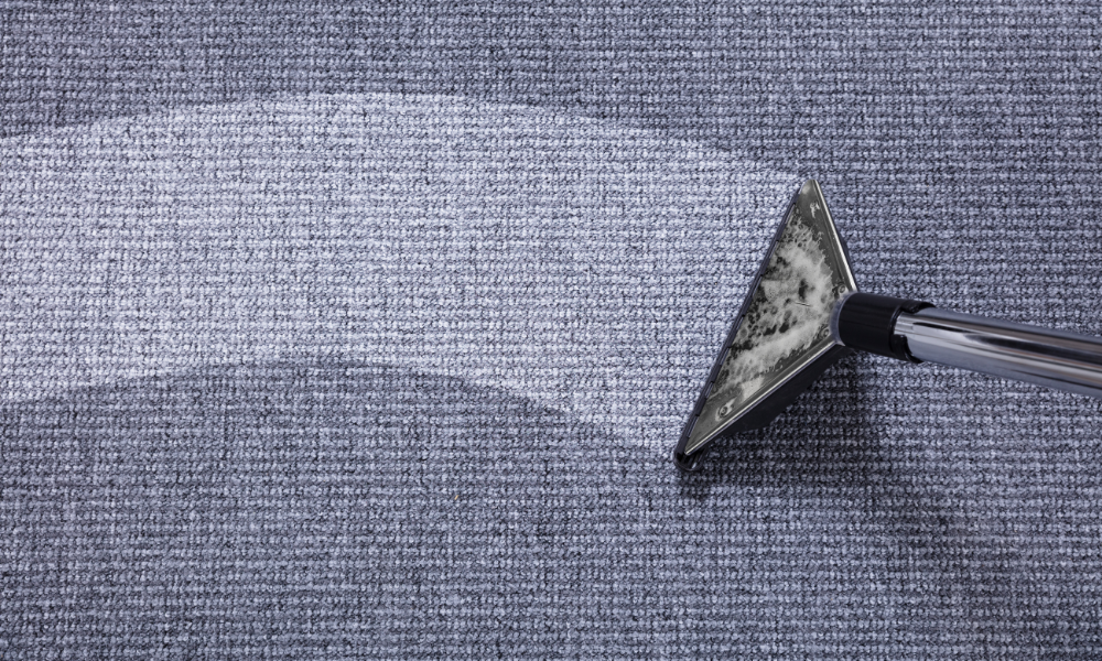 professional carpet cleaning meridian 2